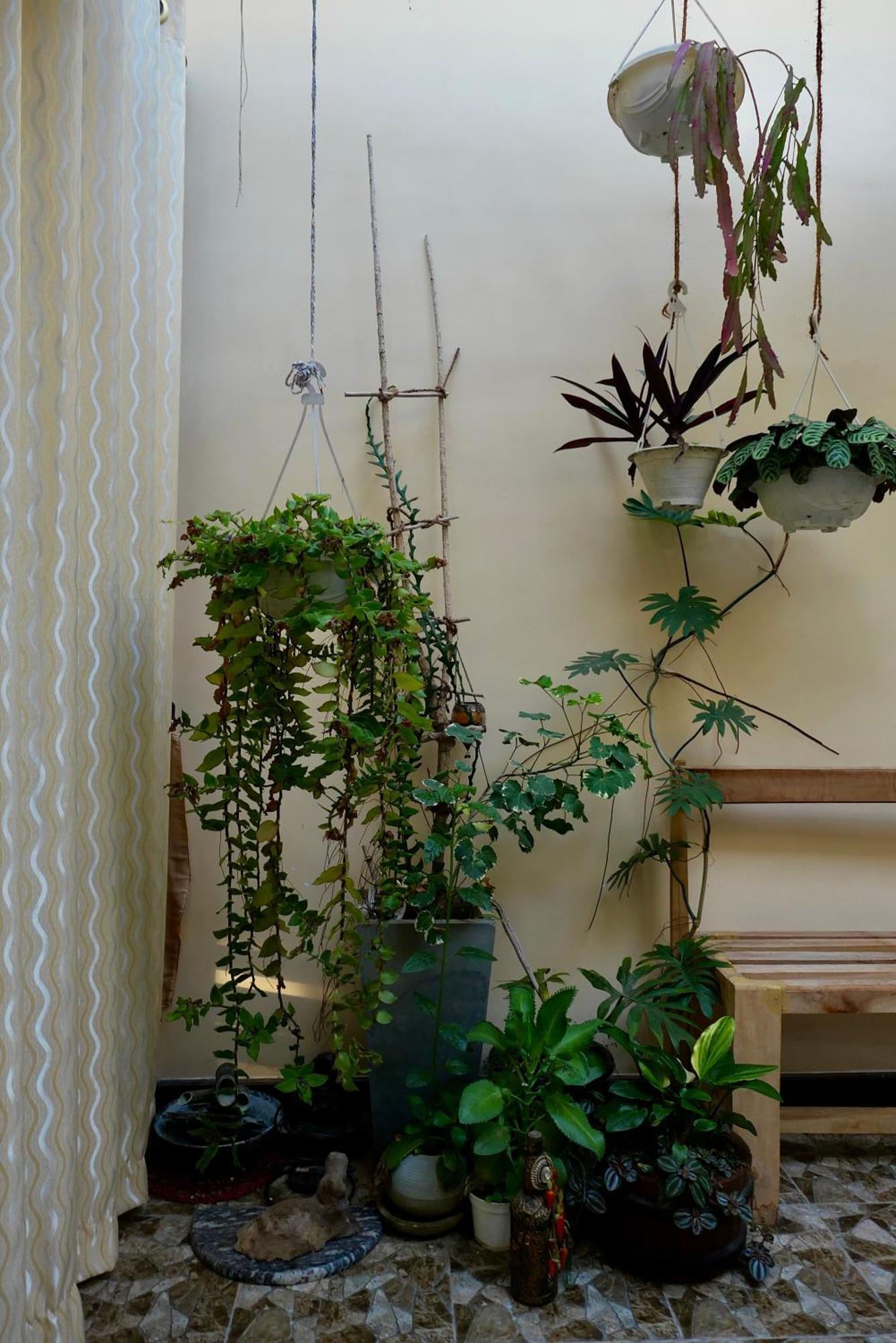 The Bliss Hostel Канди Екстериор снимка